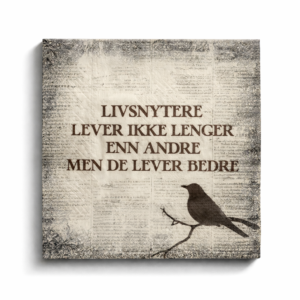 Servietter