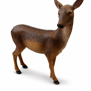Hind (hjort)
