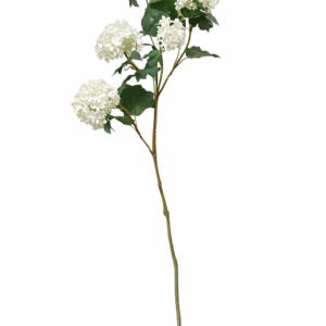 Snittblomst