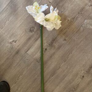 Snittblomst