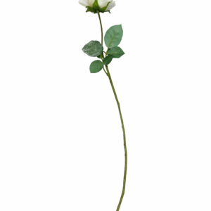 Snittblomst