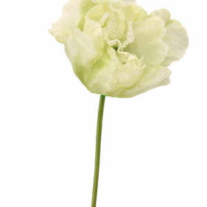 Snittblomst