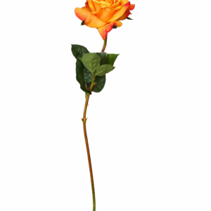 Snittblomst