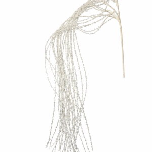 Gren