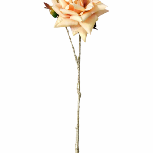 Snittblomst