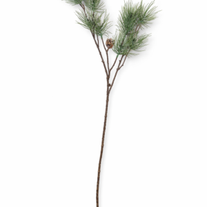 Gren