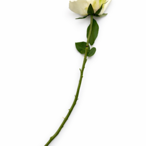Snittblomst