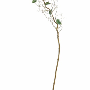 Gren