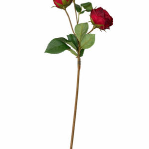 Snittblomst