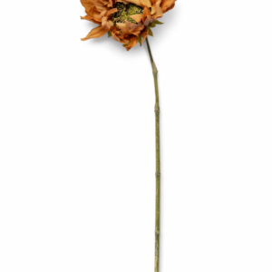 Snittblomst