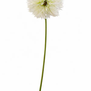 Snittblomst