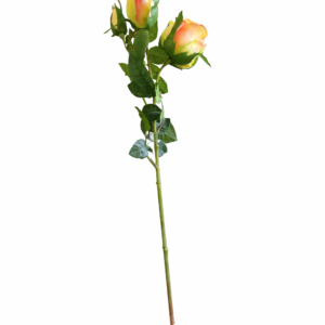 Snittblomst