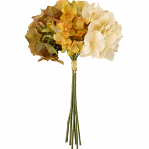 Hortensia