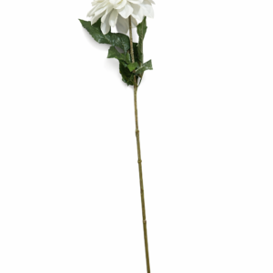 Daglig