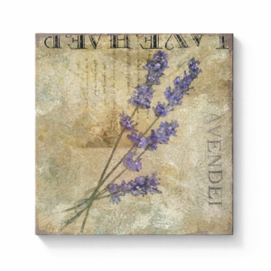 Bilde «lavendel»