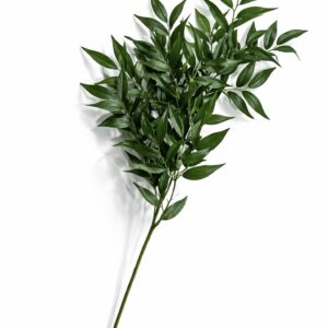 Blad