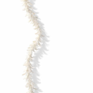 Fjørgirlander