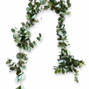 Eucalyptus Girlander