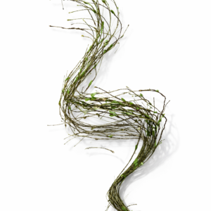 Gren