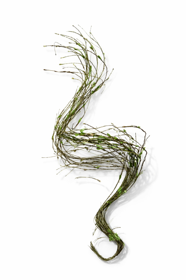83a1e03d-e66c-4686-9426-3dcd962306ef Gren