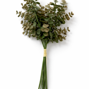 Bukett med eucalyptus