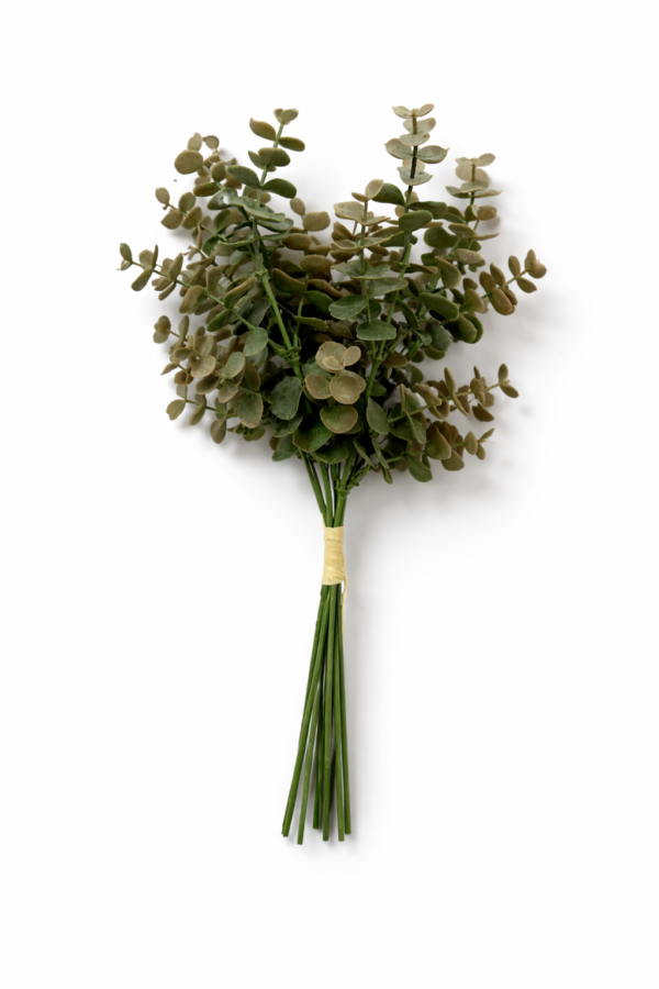 Bukett med eucalyptus