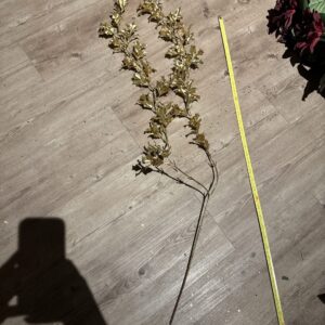 Kristorn grein