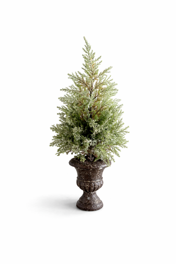 Juletre i potte