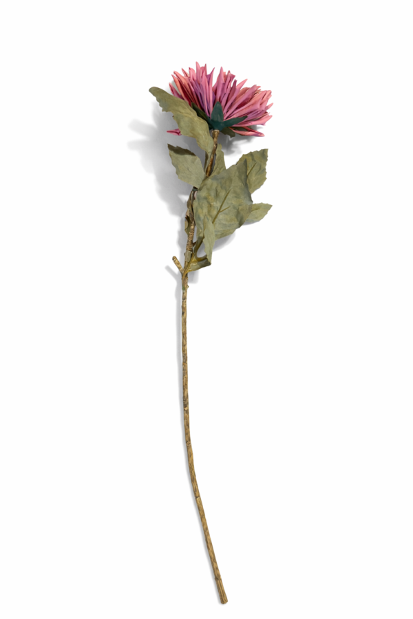 Gerebera
