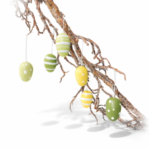 Egg